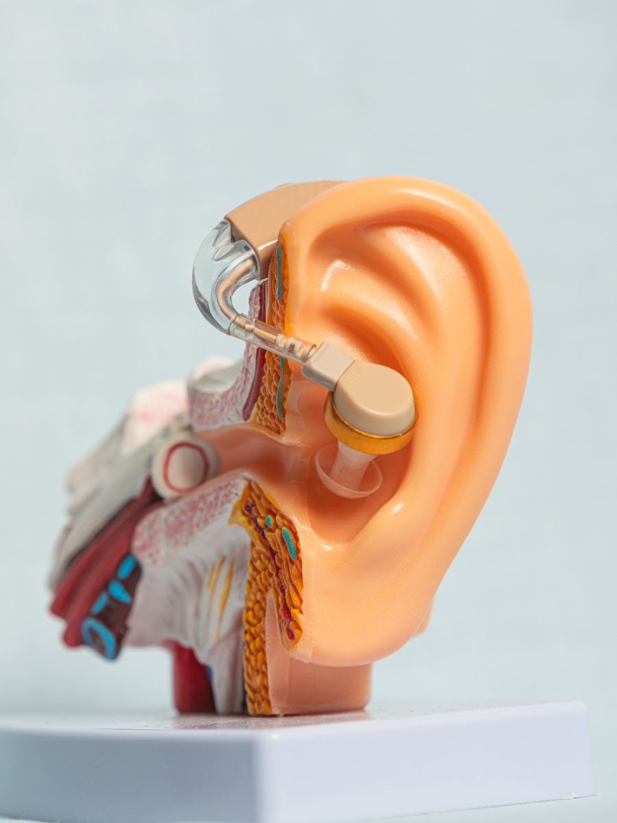 Untitled design - 2025-10-29T163854.360